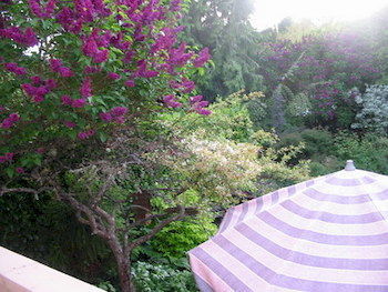 Cadboro Bay Bed & Breakfast Victoria Esterno foto